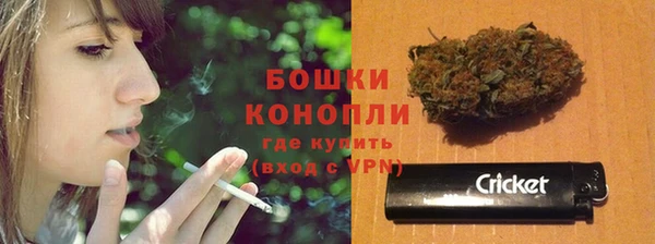 молекула духа Богородицк