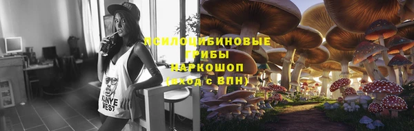 Альфа ПВП Богородск