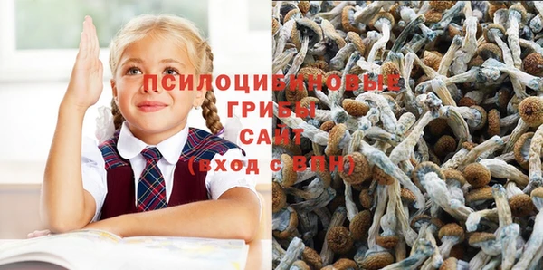 Альфа ПВП Богородск