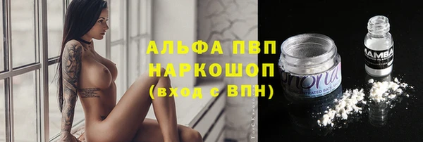 молекула духа Богородицк