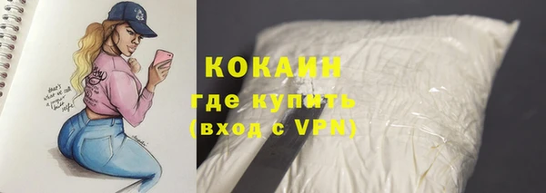 Альфа ПВП Богородск