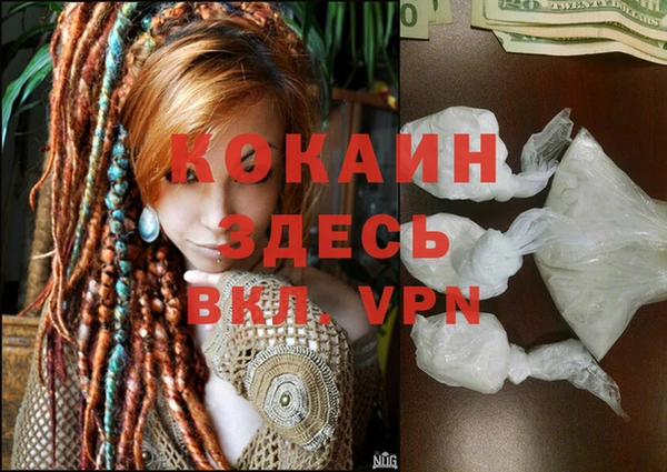 Альфа ПВП Богородск