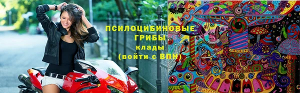 молекула духа Богородицк
