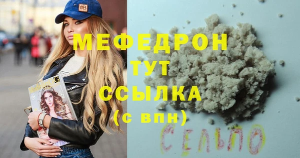молекула духа Богородицк