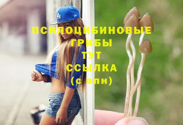 Альфа ПВП Богородск