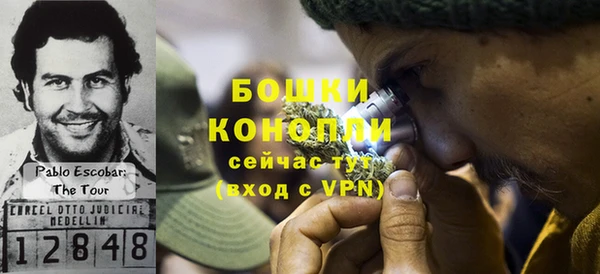 дживик Богданович