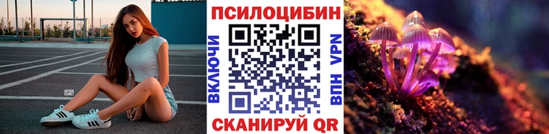 Галлюциногенные грибы Psilocybe  Очёр 